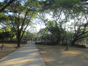 park 6