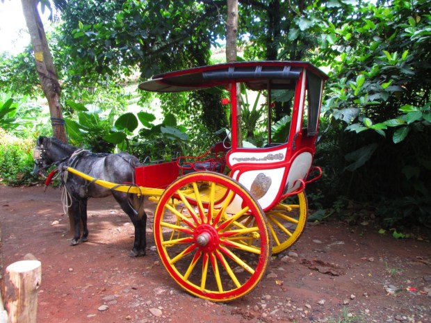 horse back calesa ride