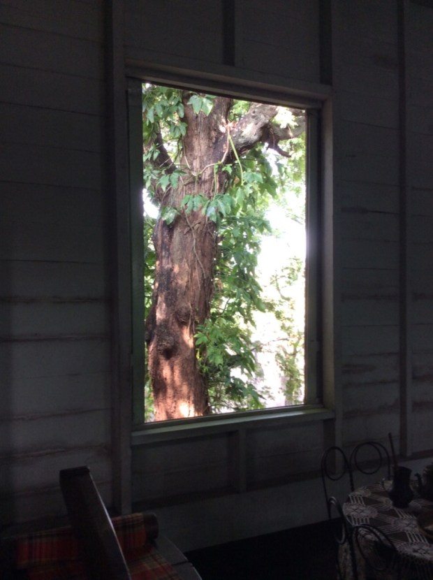 Jalandoni House Back Window